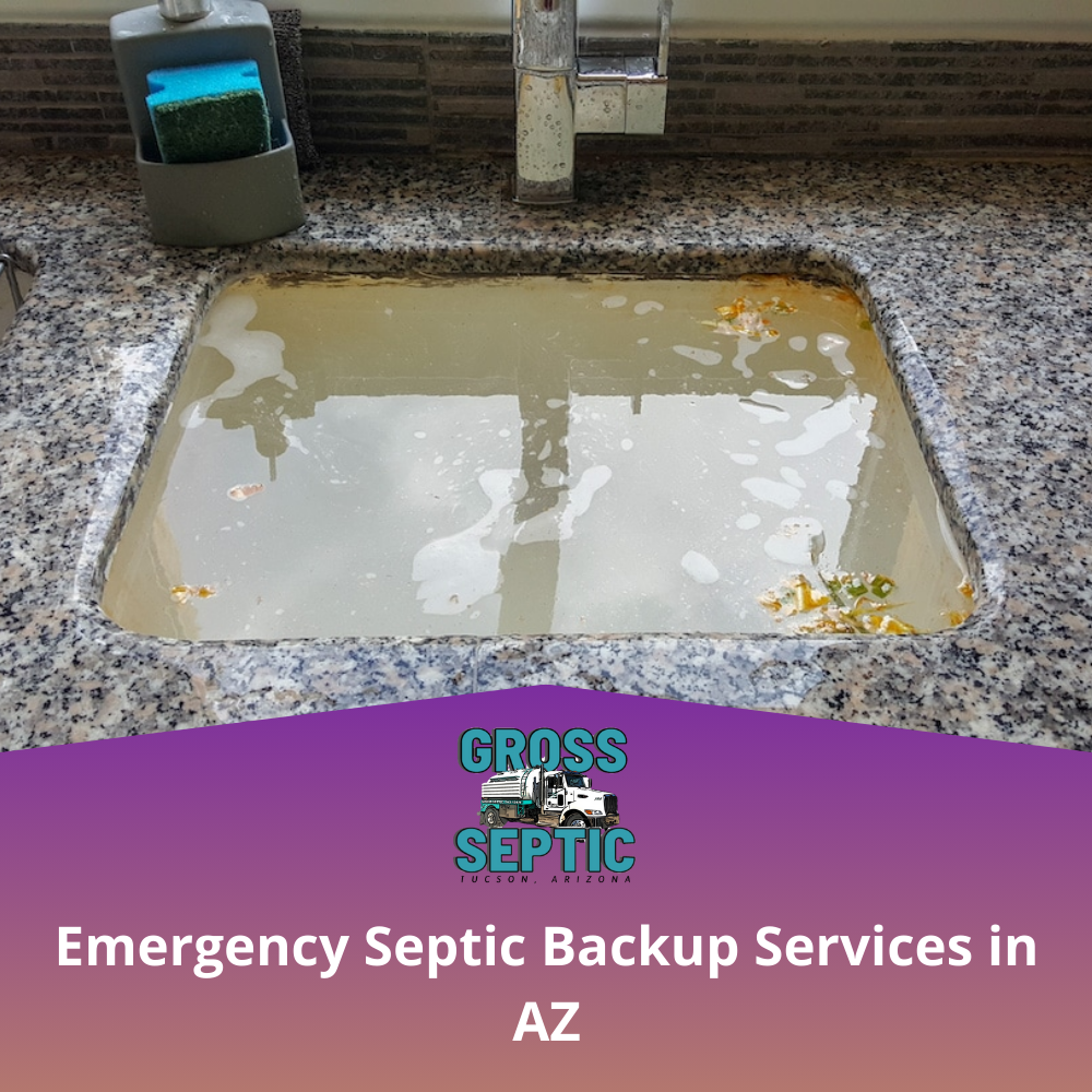 emergency septic backup services in AZ