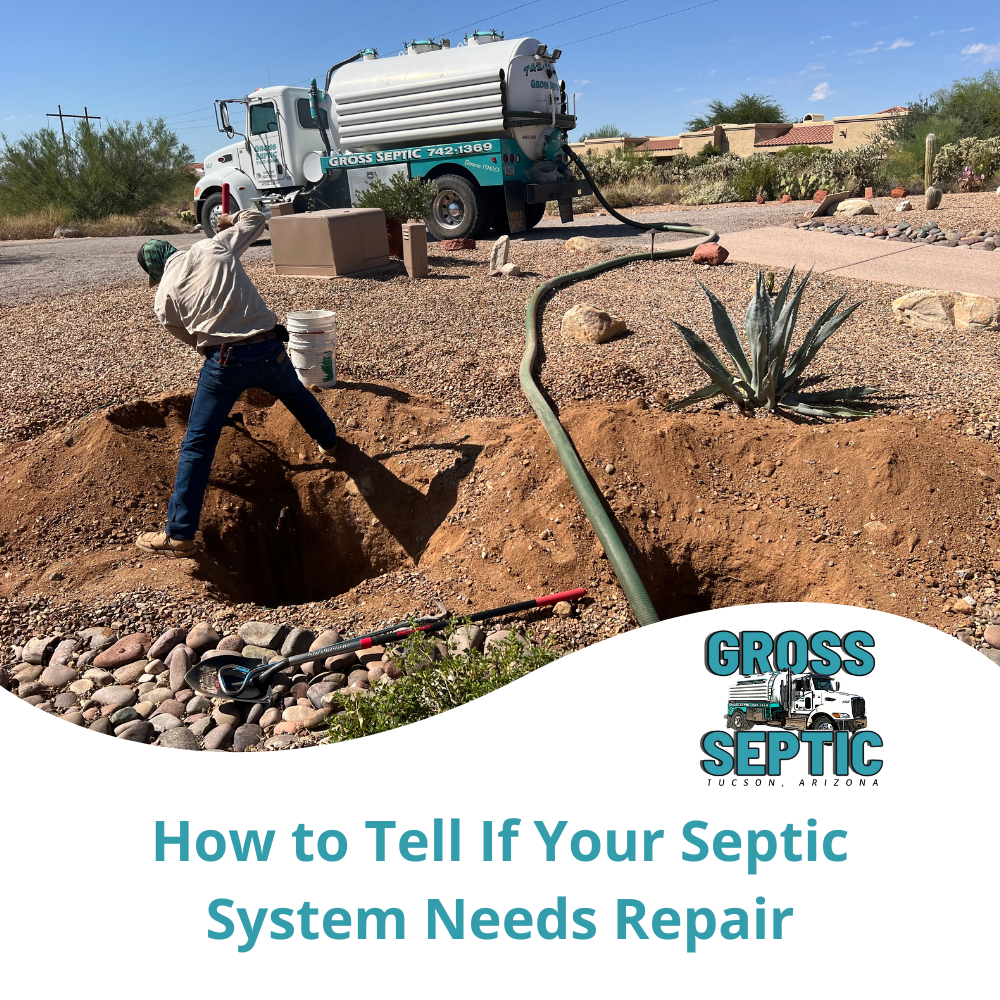 How to Tell If Your Septic System Needs Repair