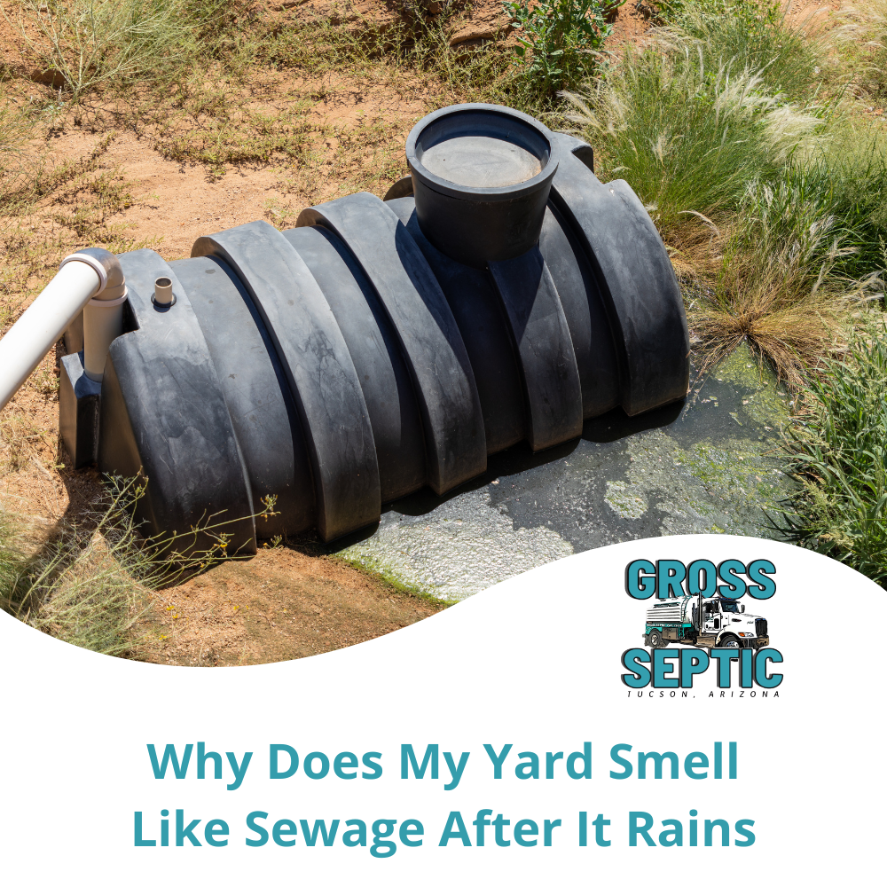 Why Does My Yard Smell Like Sewage After It Rains
