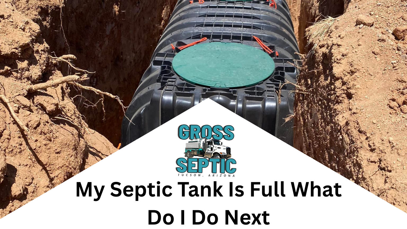 My Septic Tank Is Full What Do I Do Next