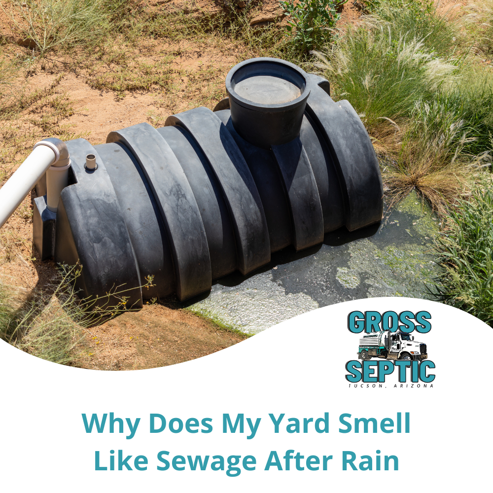 Why Does My Yard Smell Like Sewage After Rain