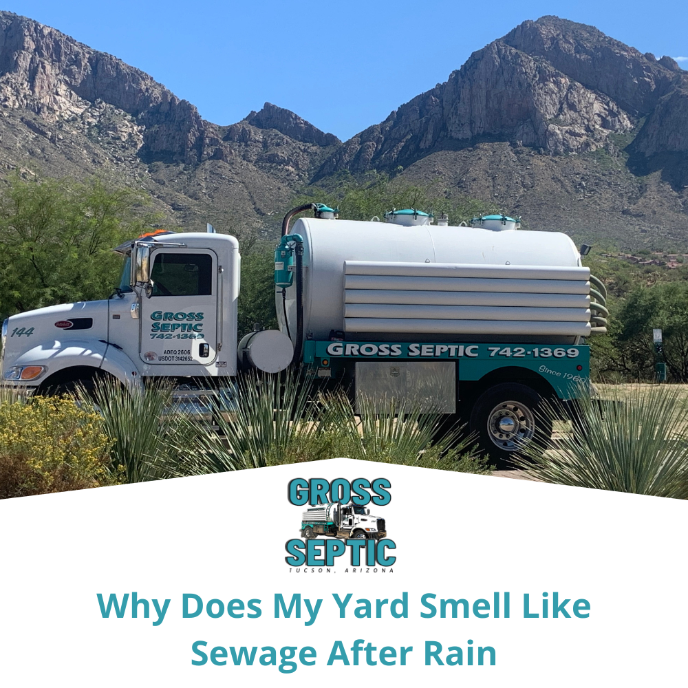 Why Does My Yard Smell Like Sewage After Rain