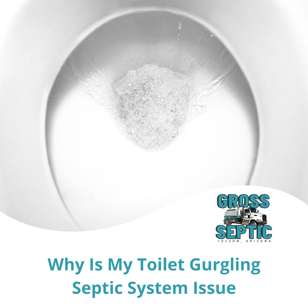 Why Is My Toilet Gurgling Septic System Issue